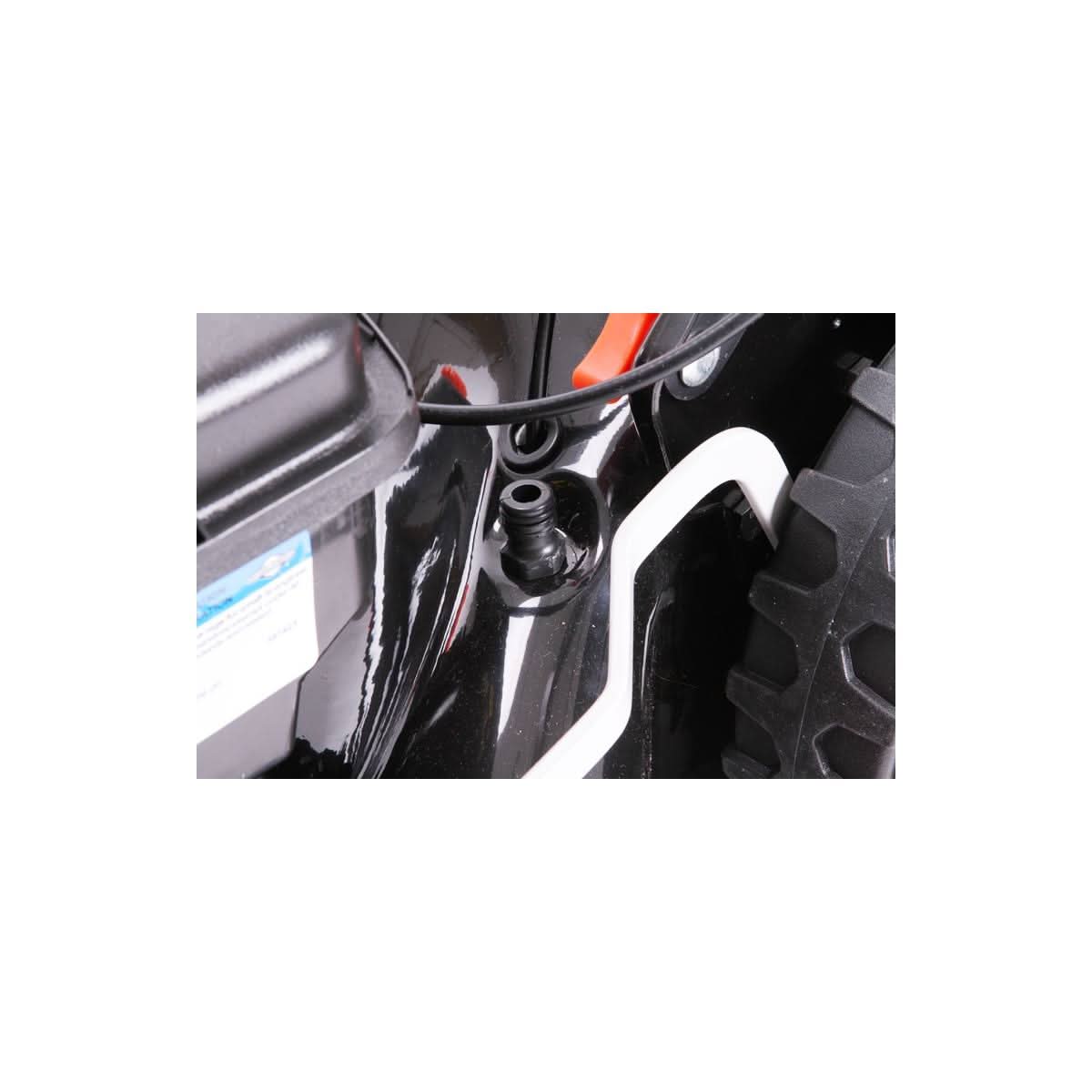 Thumbnail 12